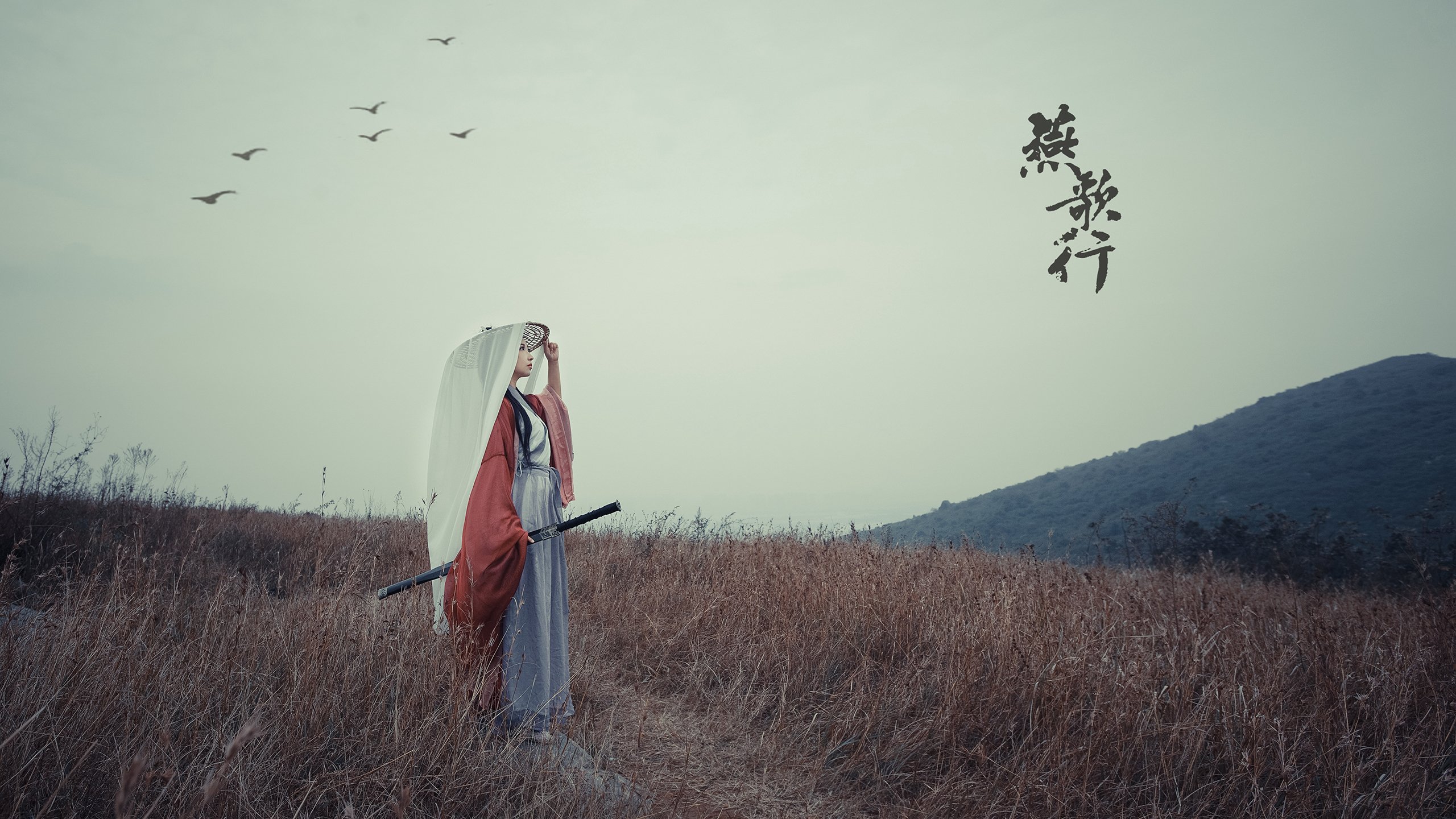 哪里可能看长安汽车配件多少钱（长安汽车配件查询）