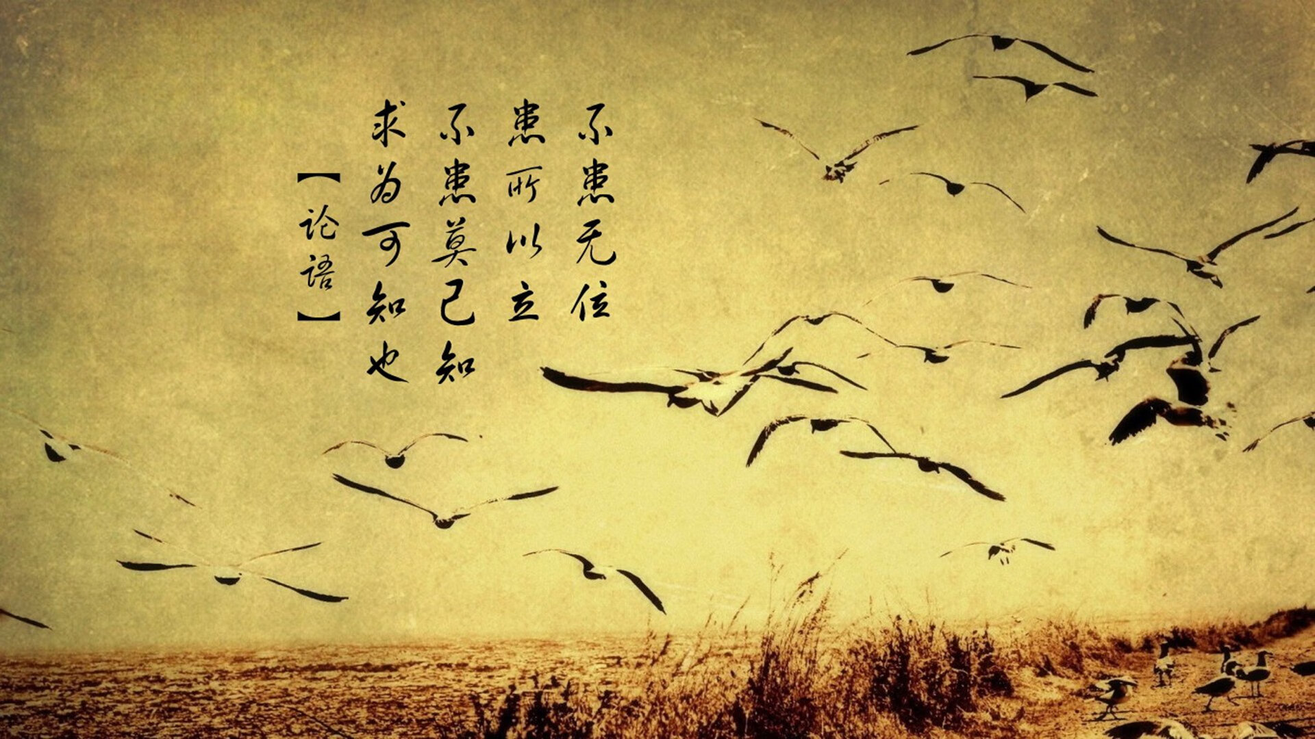发动机部件加工讲解视频（发动机各总成装配过程）